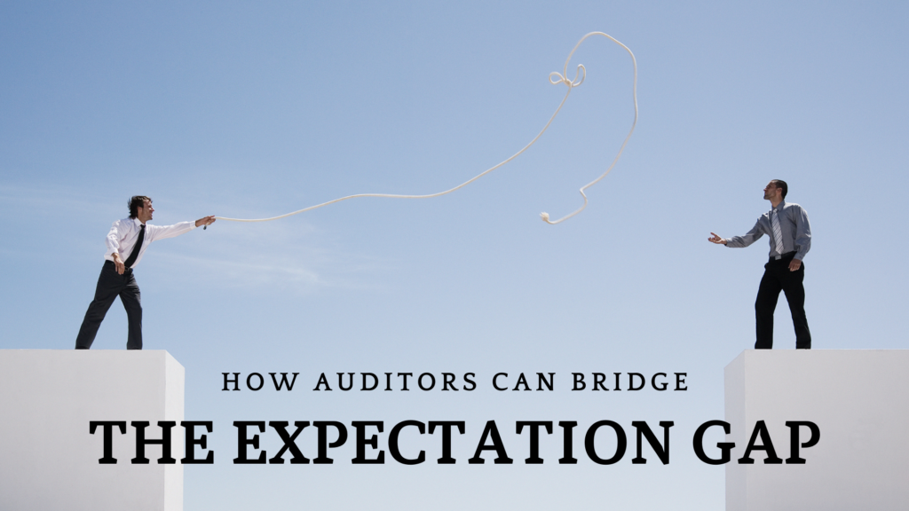 How Auditors Can Bridge the Expectation Gap and Provide More Value ...